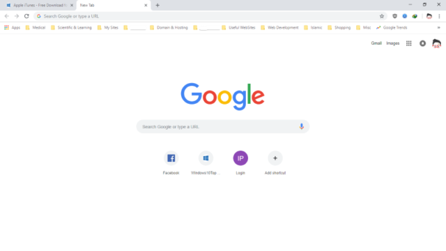 Google Chrome for Windows 10 Screenshot 1
