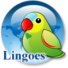 Lingoes Translator Icon