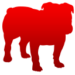 BullGuard Premium Protection Icon