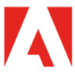 Adobe Camera Raw Icon