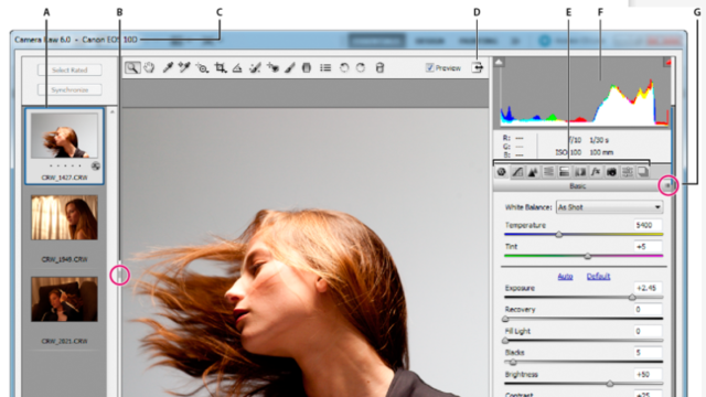 Adobe Camera Raw for Windows 11, 10 Screenshot 1