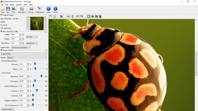 BenVista PhotoZoom Pro for Windows 11, 10 Screenshot 1