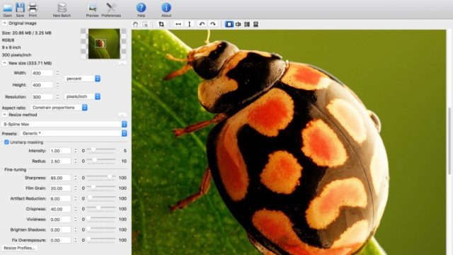 BenVista PhotoZoom Pro for Windows 11, 10 Screenshot 2