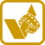 ACDSee Video Converter icon