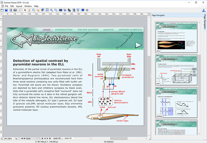 Canvas Viewer Screenshot 2