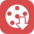 Aiseesoft Video Downloader Icon