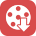 Aiseesoft Video Downloader Icon