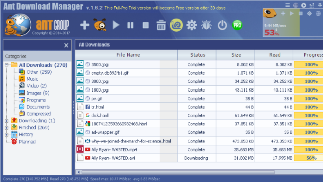 Ant Download Manager for Windows 11, 10 Screenshot 2