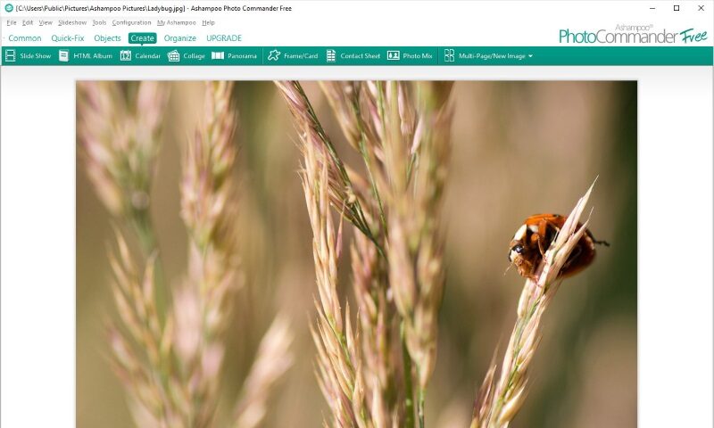 Ashampoo Photo Commander FREE Screenshot