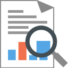 Navicat Report Viewer Icon 32 px