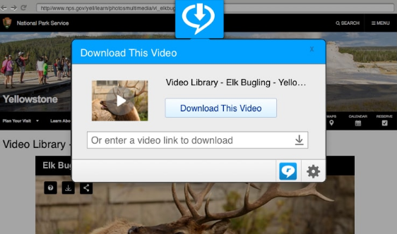 RealPlayer for Windows 11, 10 Screenshot 1