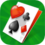 BVS Solitaire Collection icon