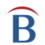 Belarc Advisor icon