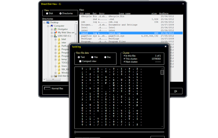 Clean Disk Security Screenshot