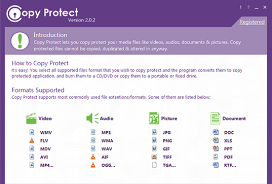 Copy Protect for Windows 11, 10 Screenshot 1