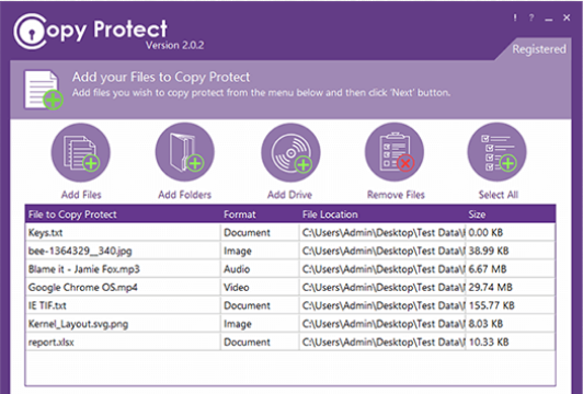 Copy Protect for Windows 11, 10 Screenshot 2