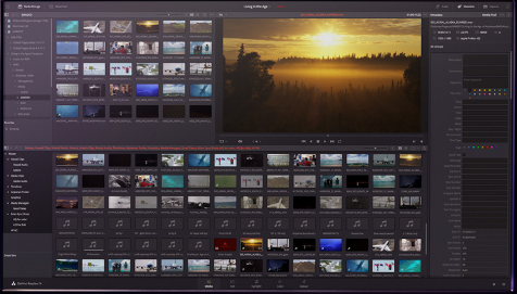 davinci resolve review