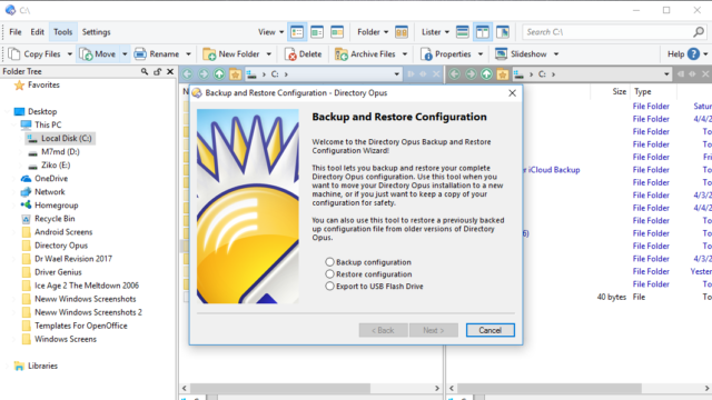 Directory Opus for Windows 11, 10 Screenshot 3