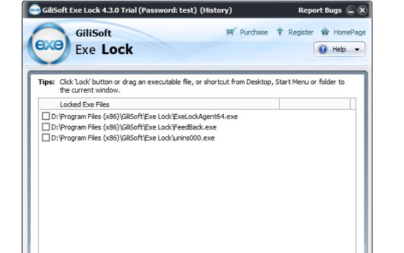 Gilisoft EXE Lock for Windows 11, 10 Screenshot 1