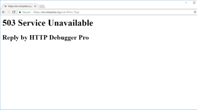 HTTP Debugger for Windows 11, 10 Screenshot 2