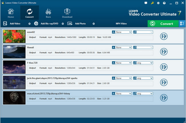 Leawo Video Converter Screenshot 1