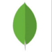 MongoDB Icon