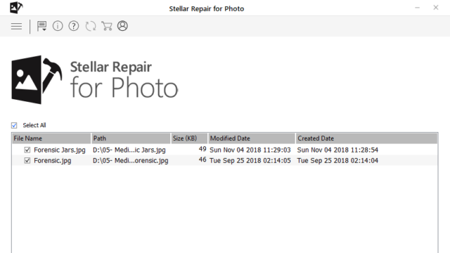Stellar Repair for Photo for Windows 11, 10 Screenshot 1