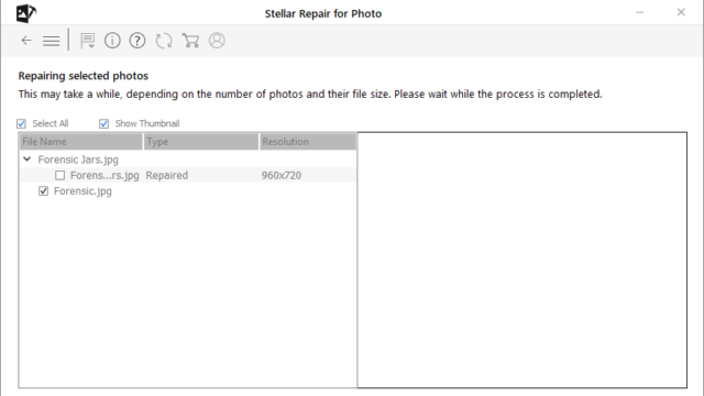 Stellar Repair for Photo for Windows 11, 10 Screenshot 2