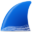 Wireshark medium-sized icon
