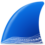 Wireshark for Windows 11