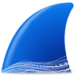 Wireshark Icon