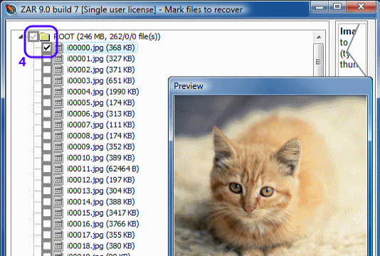 ZAR X for Windows 11, 10 Screenshot 1