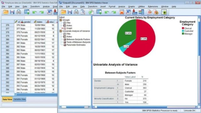 IBM SPSS Statistics for Windows 10 Screenshot 1