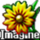 Imagine icon