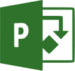 Microsoft Project Professional Icon