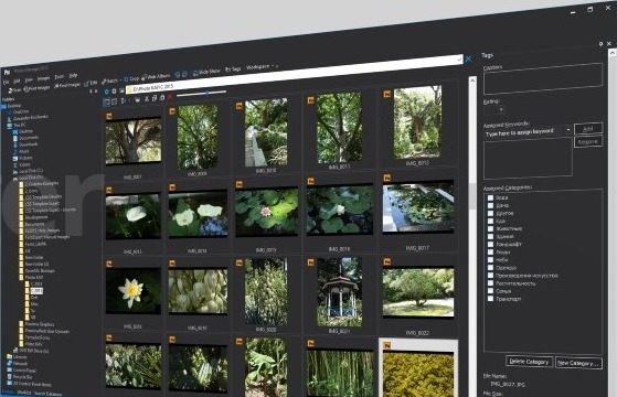 Proxima Photo Manager for Windows 11, 10 Screenshot 1
