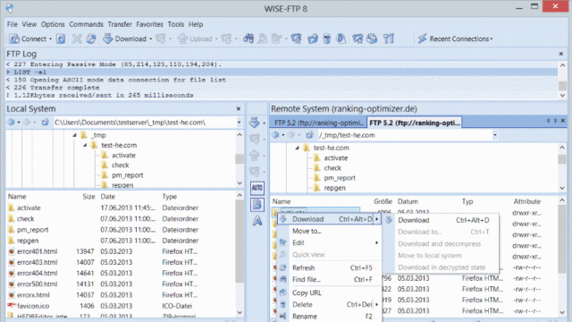 WISE-FTP for Windows 11, 10 Screenshot 1