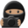 Photo Ninja medium-sized icon
