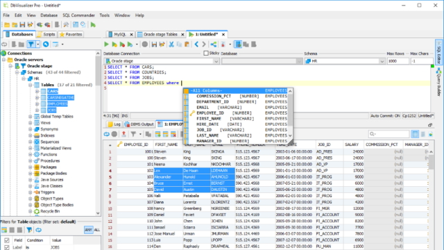 DbVisualizer for Windows 11, 10 Screenshot 1
