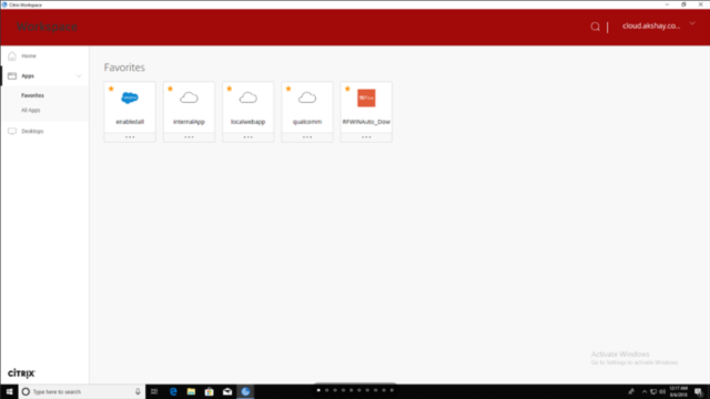 Citrix Workspace for Windows 11, 10 Screenshot 3