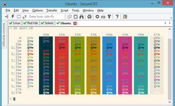 SecureCRT for Windows 11, 10 Screenshot 1