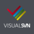 VisualSVN Icon 32 px
