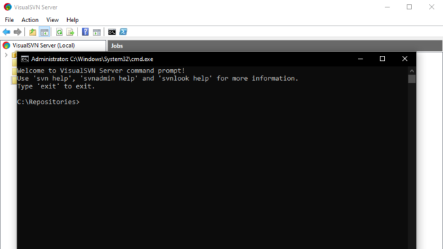 VisualSVN Server for Windows 10 Screenshot 3