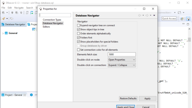DBeaver for Windows 11, 10 Screenshot 3
