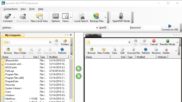 Ipswitch WS_FTP for Windows 11, 10 Screenshot 1