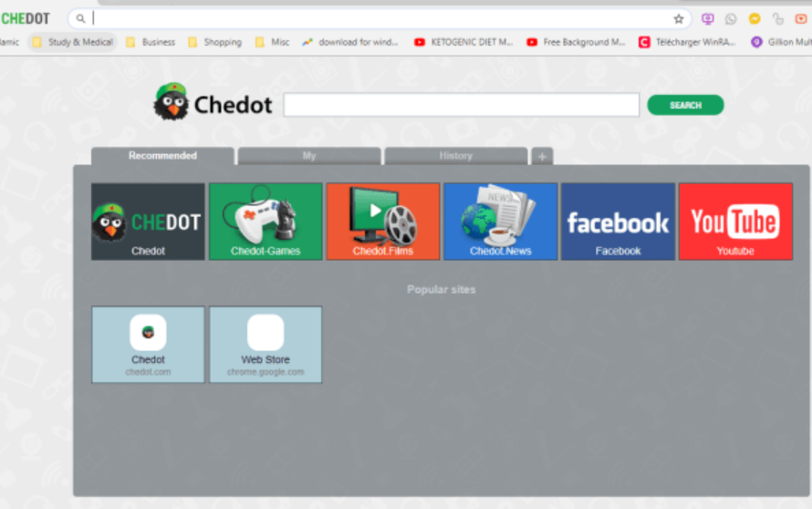 chedot browser offline install